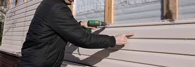 Best Custom Trim and Detailing for Siding  in Park City, MT